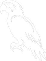 AI generated parrot  outline silhouette vector