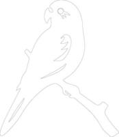 AI generated parakeet  outline silhouette vector