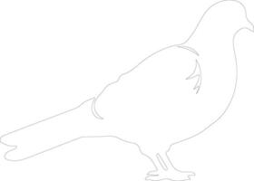 AI generated pigeon  outline silhouette vector