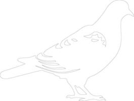 AI generated pigeon  outline silhouette vector