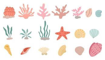 Seaweed and seashells set vector flat. Cute decor for your design