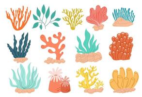 A large set of colorful modern seaweeds of different variations on a white background. Flat style, easy to edit vector