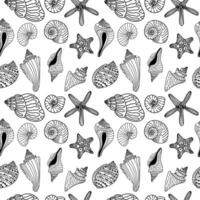 Seashells vector seamless pattern on white background