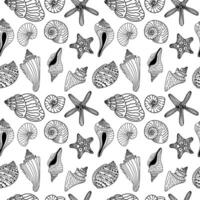 Seashells vector seamless pattern on white background