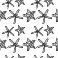 Seamless pattern with vintage linear seashells on a white background vector