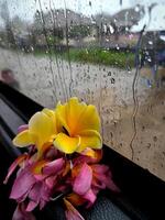 Beautiful inspiration melancholic image. rainy weather, raindrops texture on wet glass windows, flowers, symbol of love, romantic photo