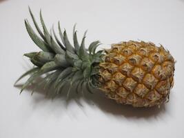 pineapple fruit nature photo