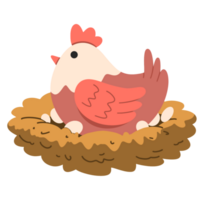 Chicken with eggs illustration png