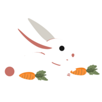 mignonne lapin en mangeant carottes illustration png