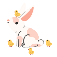 Cute rabbit with chicken illustration png