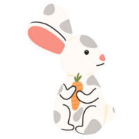 Cute rabbit with carrots png
