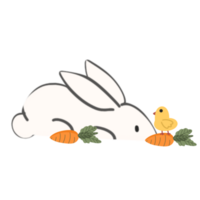 Cute rabbit with baby chicken illustration png