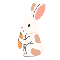 Rabbit with carrots icon png