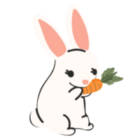 Rabbit eating Carrots illustration png