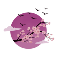 printemps Sakura et lune illustration png