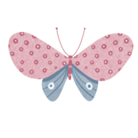 rose papillon illustration png