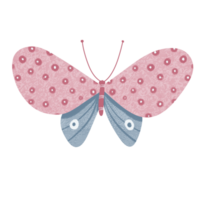 Rosa Schmetterling Illustration png