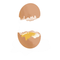 agrietado abierto huevo ilustración png
