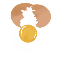 Cracked open egg illustration png