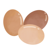 Illustration of eggs png