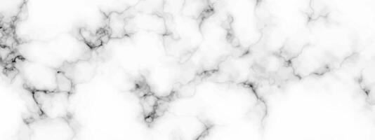 White marble texture background vector