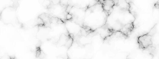 White marble texture background vector
