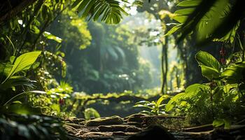 AI generated Tranquil scene green forest, sunlight, wet footpath, mountain, fern generated by AI photo
