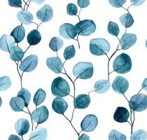 seamless pattern with watercolor eucalyptus leaves on a white background vector