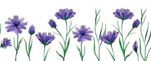 seamless border with wildflowers cornflowers. watercolor drawing. vector