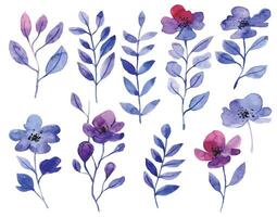 set with watercolor abstract flowers in blue and pink. delicate pattern vector