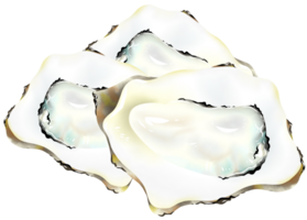 Oysters are a seafood that is low in fat and calories png