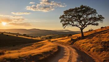 AI generated Tranquil sunset, rural landscape, tree, grass, and meadow generated by AI photo