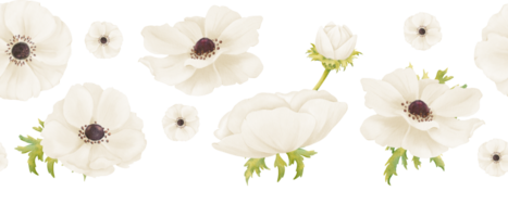 A seamless border featuring delicate white anemones and fresh greenery. watercolor illustration for a wide range of wedding invitations, greeting cards, digital backgrounds or artwork png