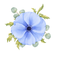 un bleu anémone floral arrangement avec Frais verdure et eucalyptus feuilles. aquarelle illustration pour un événement décorations, fête faire-part, numérique l'image de marque ou produit emballage png