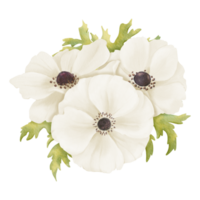 A tender watercolor depiction showcasing a bouquet of white anemones and fresh greenery. Suitable for a wide range of design projects including floral arrangements, boutonnieres, or digital graphics png