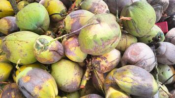 A pile of old coconuts is suitable for a textured background photo