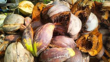 un pila de antiguo Coco conchas es adecuado para antecedentes textura foto