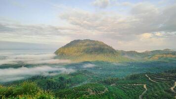 natural ver de montañas cubierto con Rocío montar boga situado en este Kalimantan foto