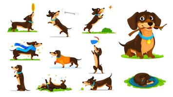 Cartoon dachshund dog puppy characters vector set