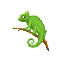 Chameleon sitting on tree branch, vector lizard