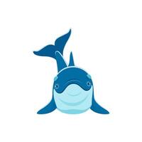 Cartoon dolphin character, vector cute sea animal