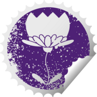 distressed circular peeling sticker symbol of a flower png