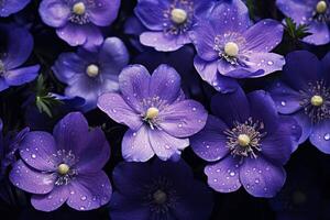 AI generated Vibrant Purple flowers closeup. Generate Ai photo