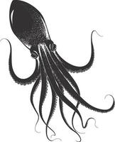 AI generated Silhouette squid animal black color only full body vector