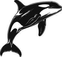 AI generated Silhouette the orca or killer whale black color only vector