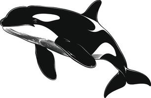 AI generated Silhouette the orca or killer whale black color only vector