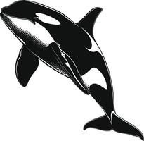 AI generated Silhouette the orca or killer whale black color only vector