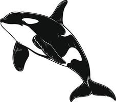 AI generated Silhouette the orca or killer whale black color only vector