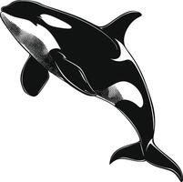 ai generado silueta el orca o asesino ballena negro color solamente vector