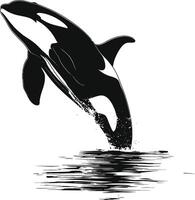 ai generado silueta el orca o asesino ballena negro color solamente vector